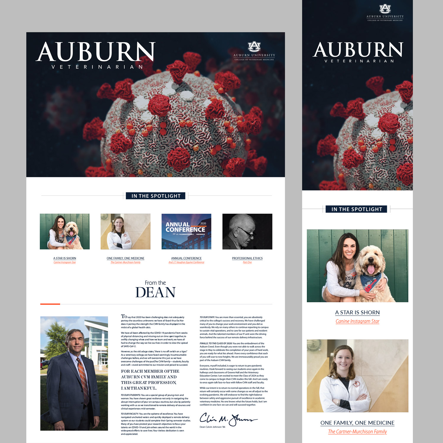 Website for Auburn Veterinary School