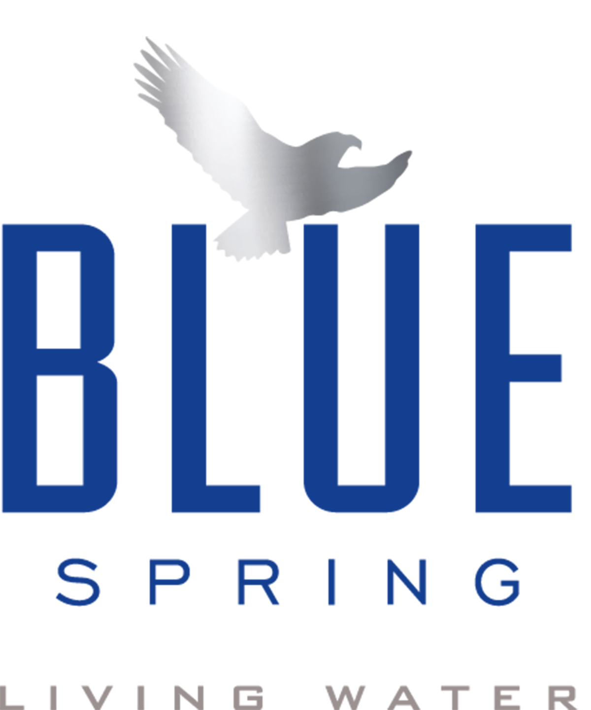 Blue Spring Living Water Logo